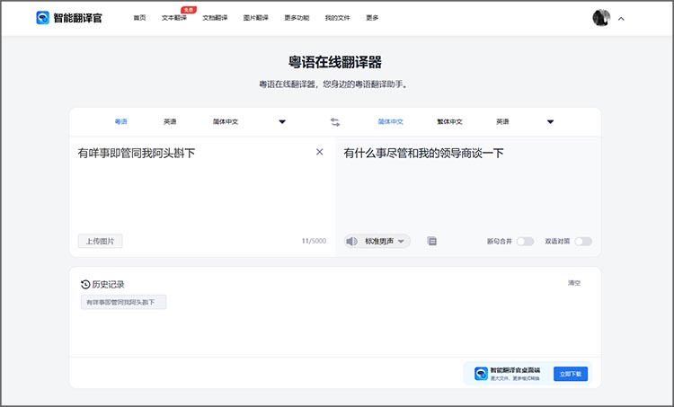 智能翻译官在线网站