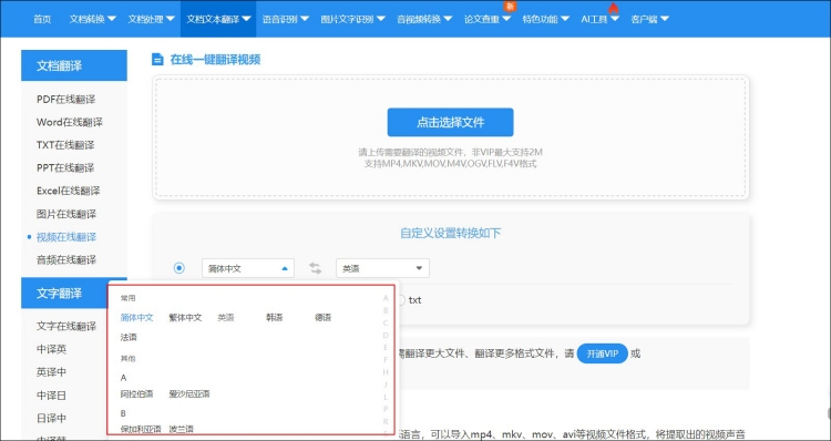 英文视频翻译成中文工具4